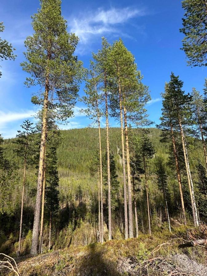 Stuga I Storklinten Harads Esterno foto